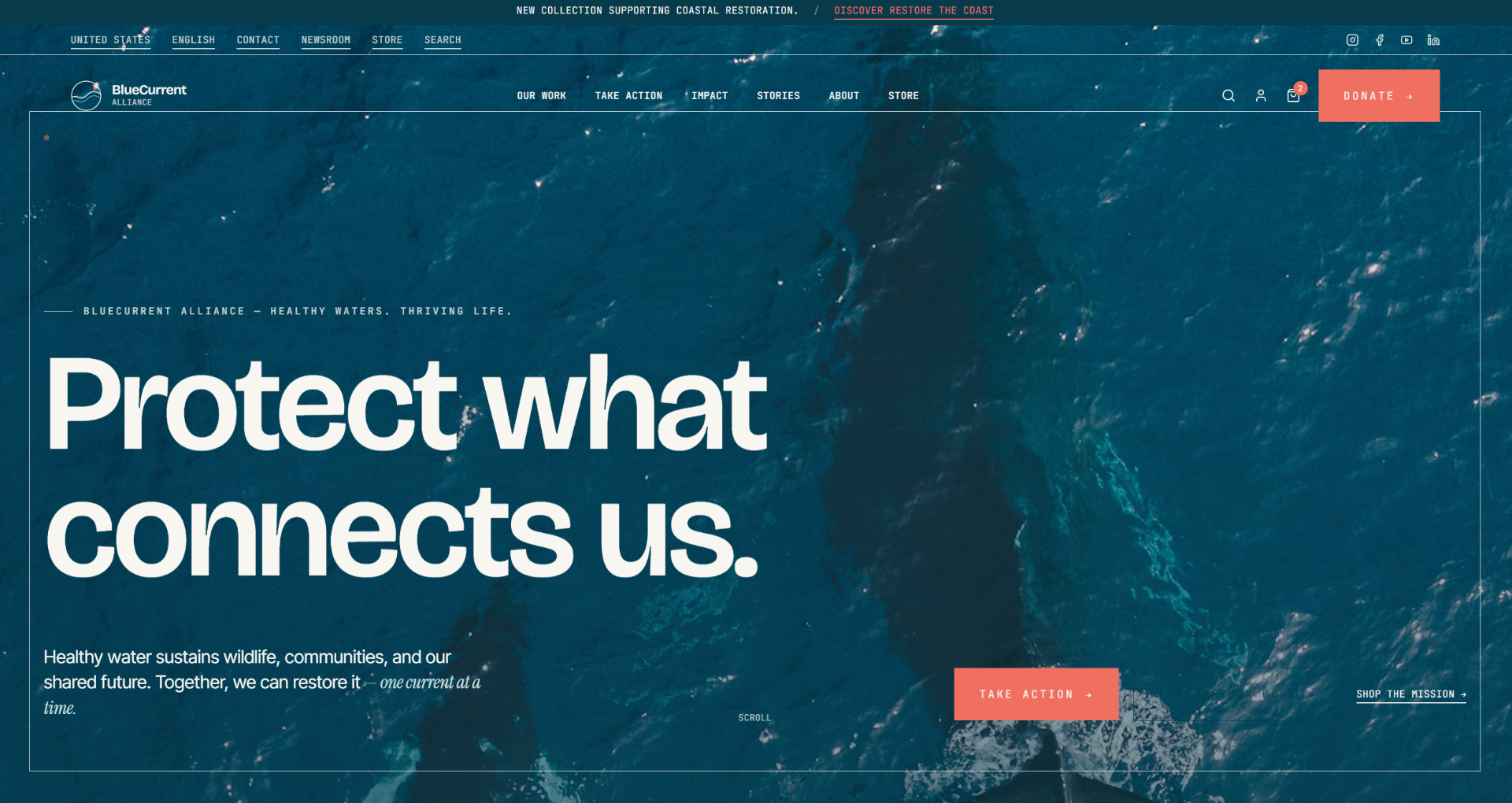 BlueCurrent Alliance — Reachtive concept screenshot