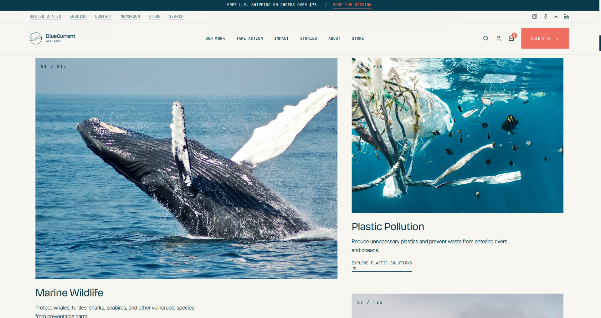 BlueCurrent Alliance, Our work